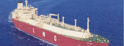 Technical research on structural safety for LNG Cargo Containment System(CCS)